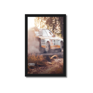 CUADRO DE RALLY 1 AUDI