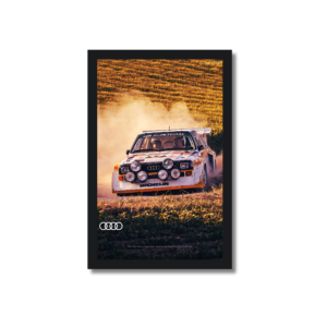 CUADRO DE RALLY 2 AUDI