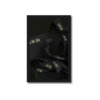 CUADRO DIOR RIBBONS 37