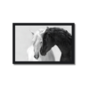 CUADRO DUALIDAD EQUINA FUERZA Y PUREZA 181